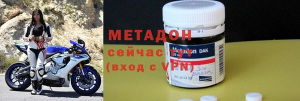 сатива Новозыбков