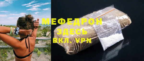 сатива Новозыбков